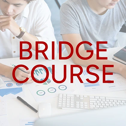 bridge course